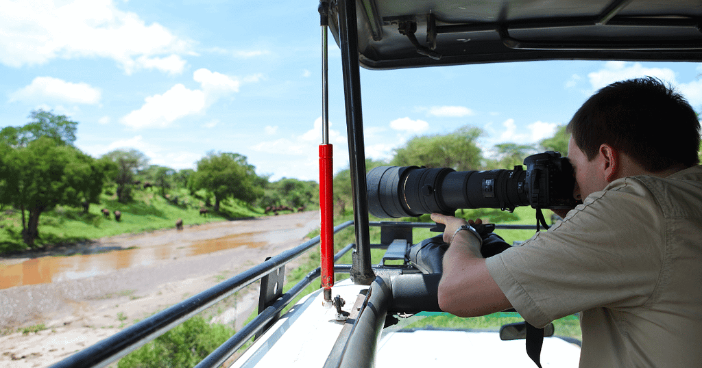 From Dreamy Destinations to Unforgettable African Safari Adventures