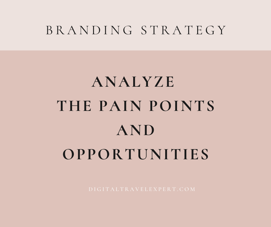 Analyze the Pain Points and Opportunities